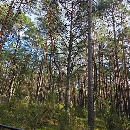 Kasi Gasiorowo (Legionowo)